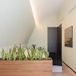 Апартаменты Bolhao Luxury *