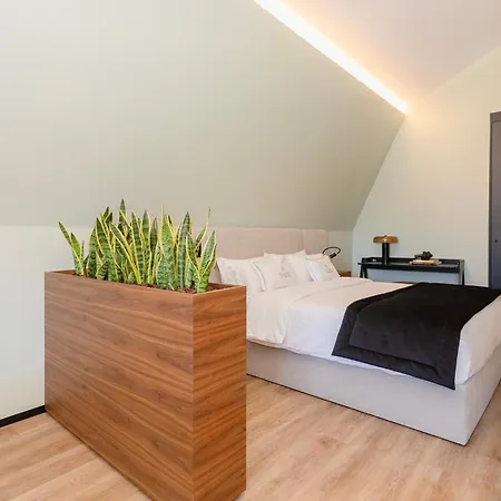 Apartamento Bolhão Luxury