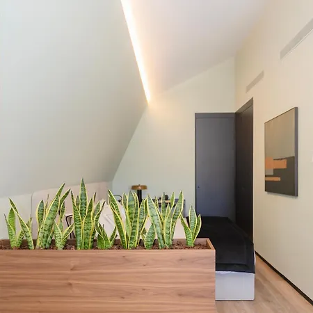 Apartamento Bolhão Luxury *