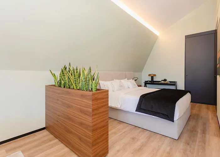 Appartement Bolhao Luxury