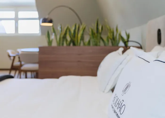 Bolhao Luxury * Oporto