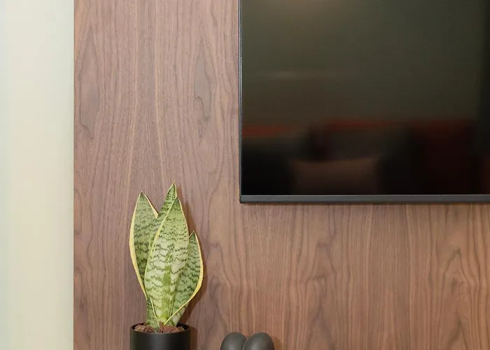 Bolhao Luxury * Oporto