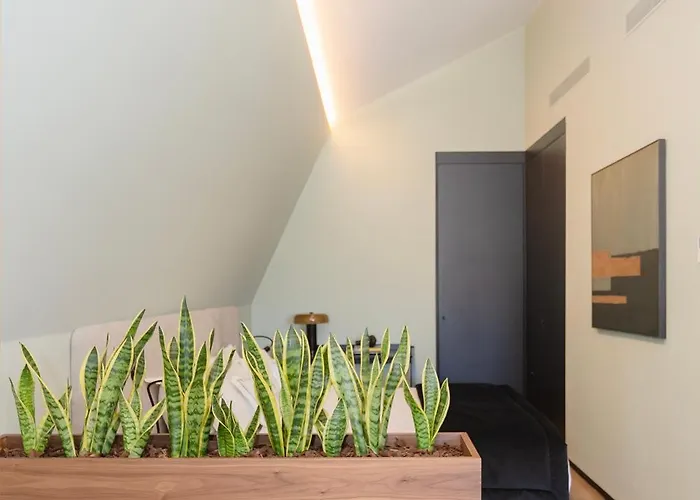 Appartement Bolhao Luxury *