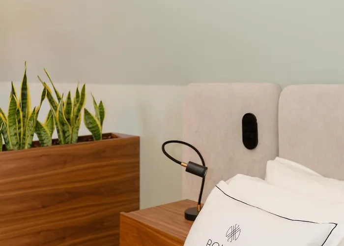 Bolhao Luxury Appartement