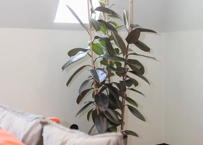 公寓 Bolhao Luxury *